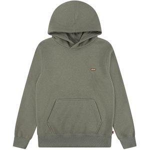 Levi's - LVB MINI BATWING PULL OVER HOO - Hoodie - Deep lichen green - Voor jongens