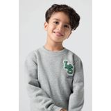 Levi's - Kids Streamline Monogram - Sweatshirt