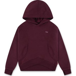 Levi's - Batwing Patch - Hoodie