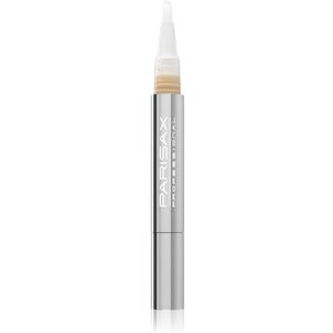 Parisax Professional Vloeibare Concealer  in Applicatie Stift Tint  Ivory 1,5 ml
