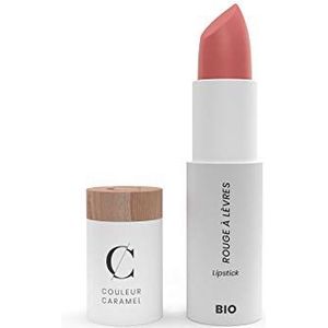 Couleur Caramel Lipstick 504 Powdery Pink
