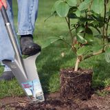 Root Slaye - Tuinschep met Vlijmscherpe Messen - Tuingereedscha - Tuinscho - Bat - Spad - Sche