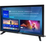 SELFSAT 1222 (55 cm/22 inch) led-smart-tv met DVB-S2/C/T2 HD-tuner met wifi en bluetooth