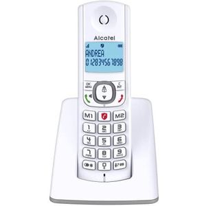 Alcatel F530 - Draadloze telefoon met geavanceerde oproepblokkering, handsfree, groot scherm met achtergrondverlichting, VIP-beltonen, 10 oproepmelodieën, grijs