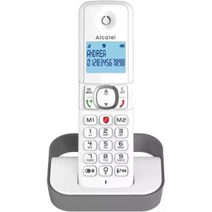Alcatel - F860 - Draadloze Telefoon - Grijs