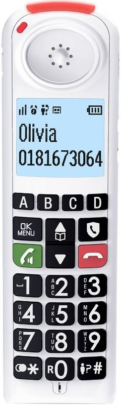 IP Telephone Swiss Voice ATL1424041