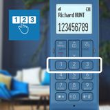 Alcatel E pure Iconic Dect huistelefoon blauw : Stijlvol, functioneel, elegant en goed doordacht