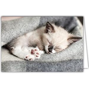 Afie 68-4003 binnenkaart, wit, met envelop, kat, kat, slapen, grijs, zachte kleuren, geest, cocooning, ontspanning, thuis, farnient zeef, rust, voor jou