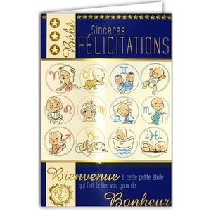 Horoscoopkaart sterrenbeeld baby jongen felicitaties geboorte of adoptie gouden tekst Welkom bij deze kleine ster die je ogen van geluk laat stralen illustraties envelop 12 x 17,5 cm 66-1034-B