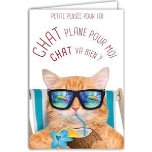 Kleine doordachte kaart voor jou, humoristische boodschap, met envelop, geïllustreerd, formaat 17,5 x 12 cm, platte kat voor mij, kat gaat ligstoel, cool relax, grappig, grappig, grappig, creatie,