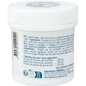 Curcuma Proactif Caps 90  -  Fenioux