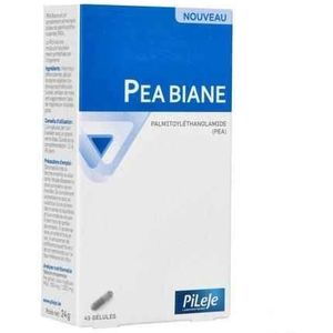 PEA Biane - Voedingssupplement - Palmitoylethanolamide - 60 Capsules
