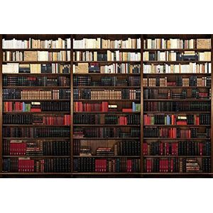 Fotobehang decoratieve poster BIBLIOTHEQUE 3x2,70m | XXL muurschildering deco & fotobehang | HD Scenolia kwaliteit