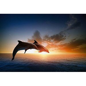 Fotobehang poster deco poster saut van de duiphin 3x2,70m | XXL deco & fotobehang | HD Scenolia-kwaliteit