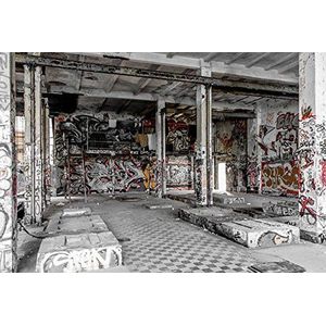 Scenolia Urbex Graffiti en Street Art Vliesbehang, 3 x 2,70 m, wanddecoratie, Trompe l'Oeil effect, panoramische bekleding, XXL tapijt, eenvoudige installatie en HD-kwaliteit