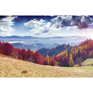 Scenolia Canvas afbeelding herfst landschap 60 x 40 cm wanddecoratie 100% gemaakt in Frankrijk