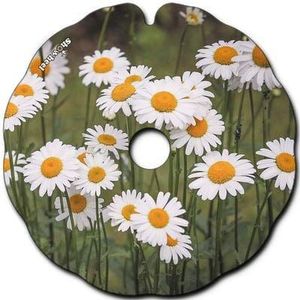 Spoke Guards for Wheelchair (Pair), Fit 53,51 to 54,50 cm Handrim Outer Diameter with Flat Tabs - Paquerettes