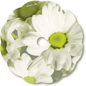 Spoke Guards for Wheelchair (Pair), Fit 53,51 to 54,50 cm Handrim Outer Diameter with Flat Tabs - Paquerette