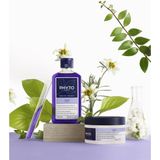 Phyto - Violet No Yellow Shampoo - Toniserende Shampoo - 250 ml - Voor Blond en Highlighted Haar