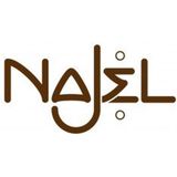 Aleppo zeep Honing 100 gram