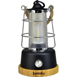 Draadloze LED lantaarn H23CM WILDY