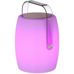 LUMISKY Buitenlamp met Luidspreker - 21x21x31 cm