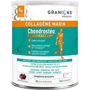 Granions Chondrostéo Collagène Marin Poeder 280 g