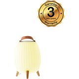 EZI Light - Ambiant Medium - Bluetooth Speaker - Speaker 25W - IP65 - 28,5cm - Luidspreker en Tuinverlichting - Buitenverlichting - LED Multicolor - Beige/wit - Plastic/hout/leer