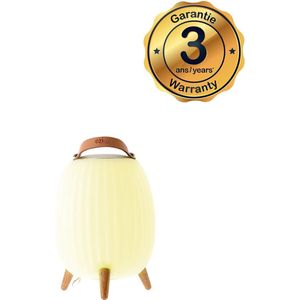 EZIlight® Ambient M® music mobile muzieklantaarn