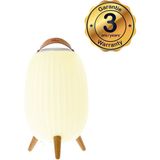 EZI Light - Ambiant Large - Bluetooth Speaker - Speaker 60W - IP65 - 40cm - Luidspreker en Tuinverlichting - Buitenverlichting - LED Multicolor - Beige/wit - Plastic/hout/leer