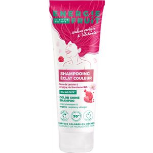 Energie Fruit Shampoo zonder sulfaat | kersenbloesem & biologische frambozenazijn | gekleurd en gekleurd haar | veganistisch | 250 ml, 250,0 ml, 3,0 liter, 250,0 g