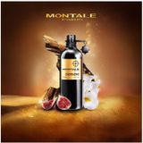 Montale Oudmazing Eau de Parfum 100ml Spray