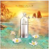 MONTALE Soleil de Capri Eau De Parfum Spray 100 ml
