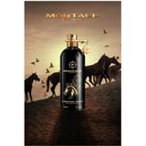 Montale Arabians Tonka - Eau de Parfum - 100ml