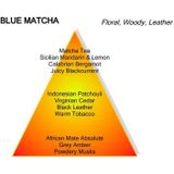 Montale Blue Matcha Edp Spray100 ml.