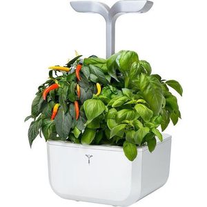 Moestuin Exky Smart