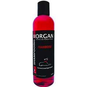 Morgan Proteïne Shampoo, Framboos, volume 250 ml