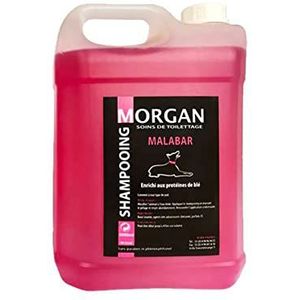 Morgan Malabar Proteïneshampoo volume 5 l voor honden