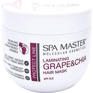 Spa Master Color Protect Haarmasker - Haar Masker Gekleurd Haar - Beschermt & Herstelt - Druif & Chia Olie - 500ml