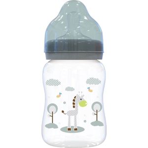 Lorelli Mint Green 250 ml Brede Hals Fles 10200710004