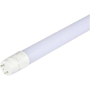 Witte LED T8 buizen - 160lm/w - Evolution - IP20 - 12W - 1920 Lumen - 4000K - 5 jaar - 120CM