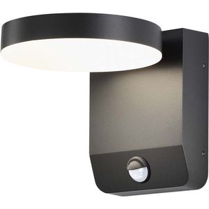 LED Wandlamp voor buiten met sensor LED/17W/230V 3000K zwart