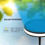 Solar Spike Light - IP54 - Zwart - 90 Lumen - 3000K