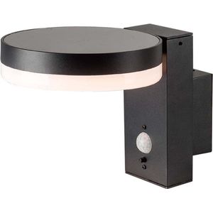 LED Buiten zonne- wandlamp met sensor LED/5,5W/3,7V 3000K IP54