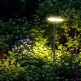 Buiten - Tuinspikes - IP65 - Antraciet behuizing - 12W - 1265 Lumen - 4000K