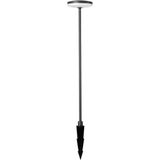 Buiten - Tuinspikes - IP65 - Antraciet behuizing - 12W - 1265 Lumen - 4000K