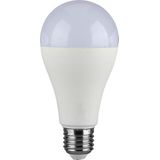 LED Lampen - GLS E27 - IP20 - 17 Watt - 1710 Lumen - 4000K