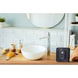 Shelly Blu H&T Black Temperatuursensor en luchtvochtigheidssensor Bluetooth