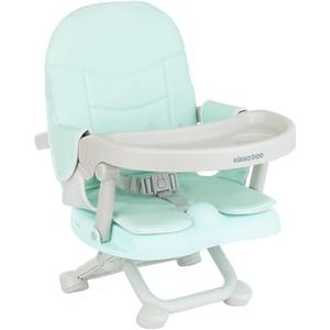 Pappo Booster Seat Mint