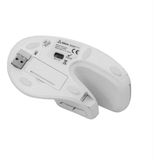 Sbox - VM-838W - Draadloze Muis - Wit - Ergonomisch Ontwerp, 1200-3200 DPI, 6 Knoppen